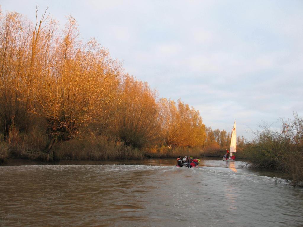 Bed And Breakfast De Biesbosch - In 'T Riet 드리멜런 외부 사진